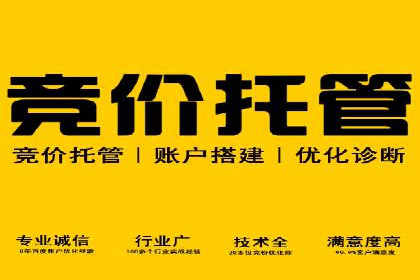 SEM竞价员实战技巧：案例分析提升竞争力